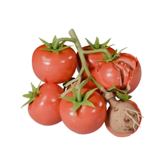 Chopped Tomato Cluster 3D Asset for Studio Catalogs