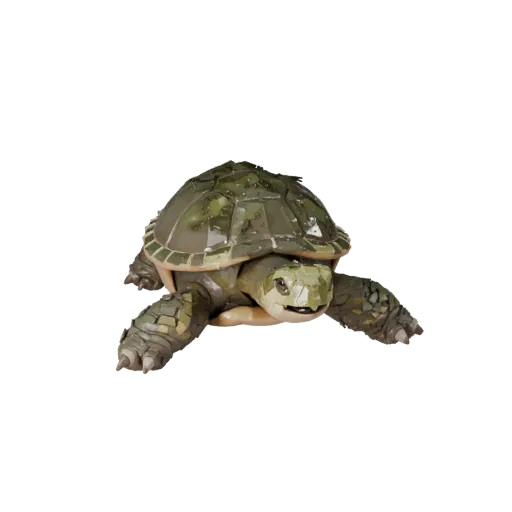 Low Poly Schnappschildkröte 3D-Modell, Gameplay-Kamera-Seitenansicht, Low-Poly-Tier-Asset mit Skalierungsunterbrechung, Kiefe
