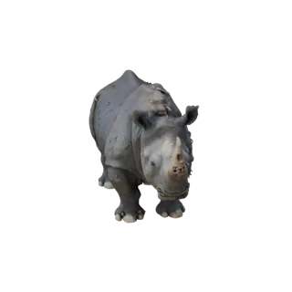 Black Rhino 3D Model for Unity - Game Ready Asset, FBX | PBR