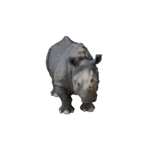Black Rhino 3D Model for Unity - Game Ready Asset, FBX | PBR
