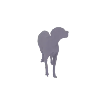 Grey Dog Standing Pose 3D Model