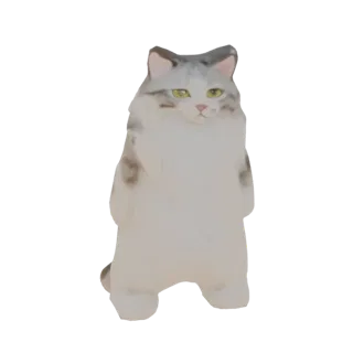 Standing Fluffy Cat