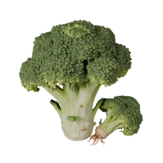 Product Market Broccoli Head 3D Studio Render Asset