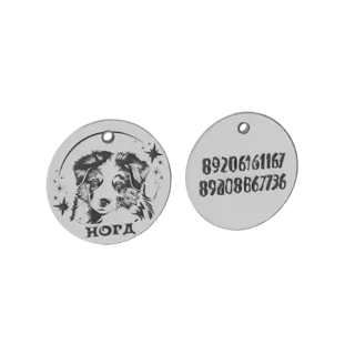 Engraved Dog Portrait Tag with Stars