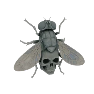 3D model of a fly with a human skull integrated into its body, showcasing intricate details of both insect and skull.