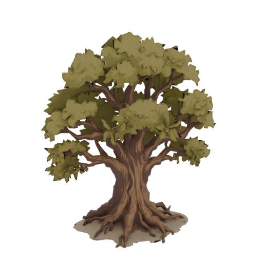 Ancient Oak Tree