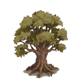 Ancient Oak Tree