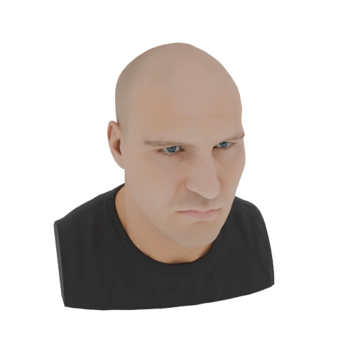 Bald Man Head Bust