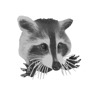 Raccoon Face Wall Mount