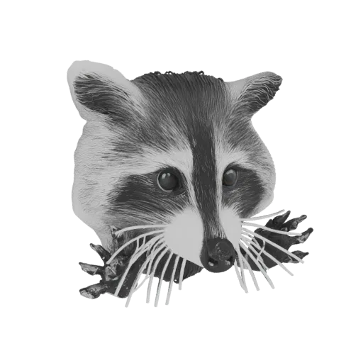 3D model of a raccoon's face with black mask and prominent whiskers, designed as a wall mount.
