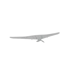 Horten Ho 229 Flying Wing Aircraft 3D Model
