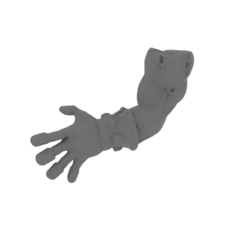 Gloved Arm