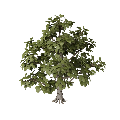 Set de Bosque de Abedules de Alta Poligonalidad con Detalle Cinematográfico 3D
