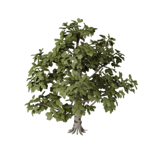 High Poly Birch Grove Set 3D Cinematic Detail Asset