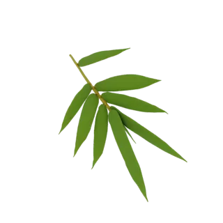 A 3D model render of a bamboo branch with several vibrant green leaves against a white background.