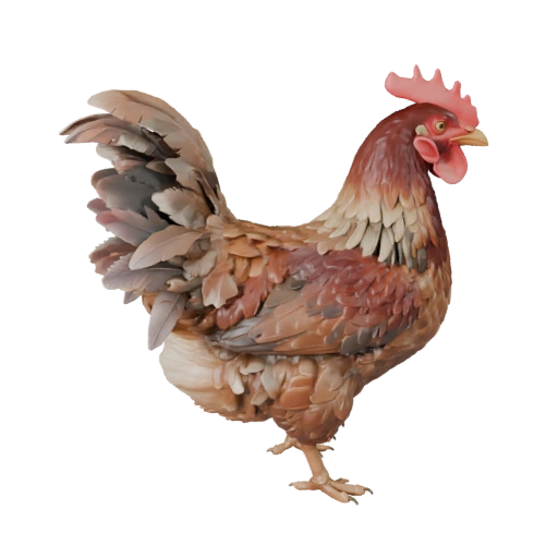 Hähnchen 3D Modell für Blender - PBR Asset mit Texturen | PBR
