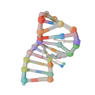 Classroom DNA Helix 3D Game Asset for Realtime Use