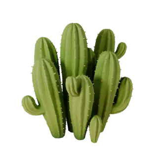 Stylized Cactus Desert Cluster 3D for Realtime Builds
