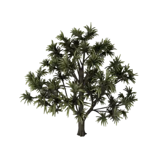 Reed And Cattail Bank Unreal 3D Asset for Game Levels