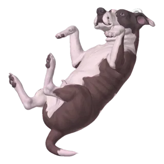 Playful Pitbull Rolling 3D Model