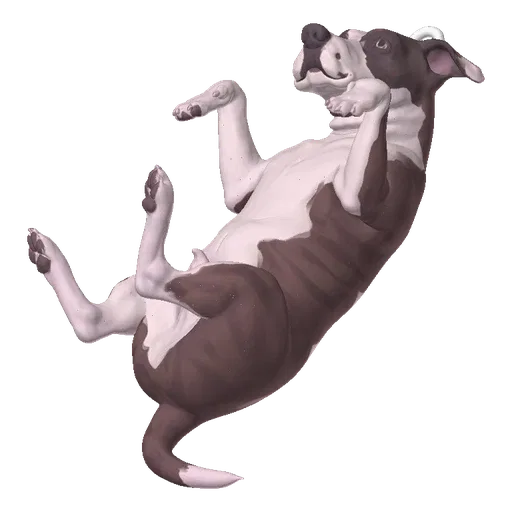3D model of a happy pitbull dog rolling on its back with paws in the air, looking up.