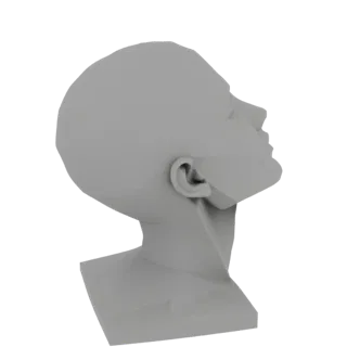 Una renderización 3D de un busto de cabeza y cuello de hombre estilizado, visto de lado, con la cabeza inclinada hacia arriba