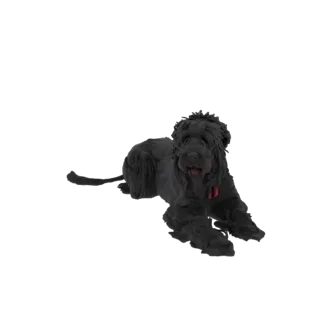 Black Dog Lying Down with Red Collar 3D Model