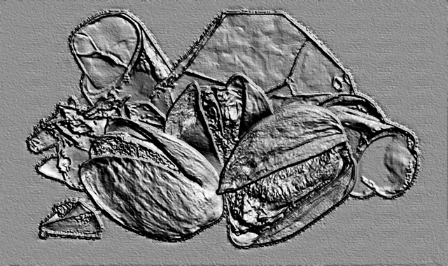 Modelo 3D de bajorrelieve de pistachos en cáscara, realizado en estilo plano gris