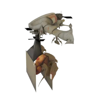 Sci-Fi Insectoid Drone