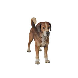 Dog 3D Model for Blender - PBR Asset with Textures | Royalty-Free