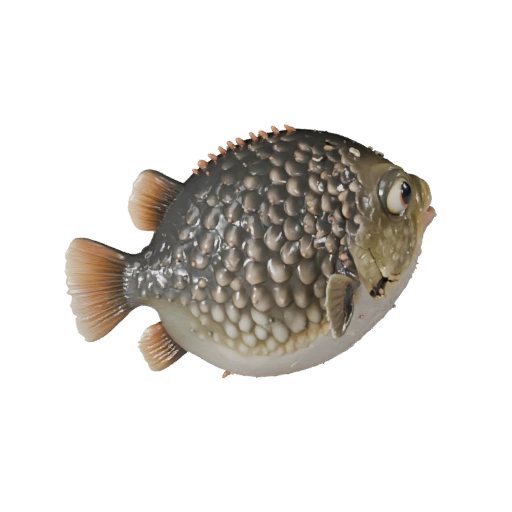 Modello 3D Pesce Palla per Blender - Asset PBR con Texture | PBR