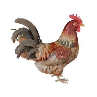 Realistic Chicken 3D Model - Rigged PBR Asset for Games | PBR