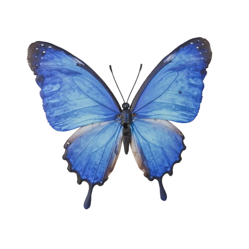 Blaue Morphofalter 3D-Modell für Blender - PBR-Asset mit Texturen