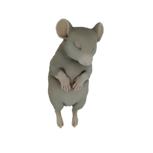 A 3D model of a small, grey mouse curled up and sleeping peacefully, with its eyes closed and paws tucked in.