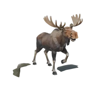 Majestic Moose 3D Model