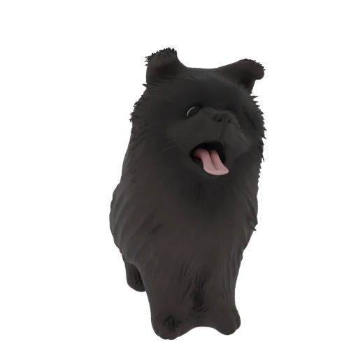 Cane Nero Soffice