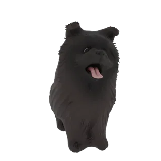 Fluffy Black Dog