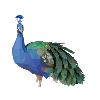 Low Poly Peacock 3D Model - Unity Game Asset with FBX | Royalty-Free