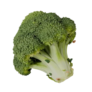 Chopped Broccoli Head 3D Asset for Game Engine Use