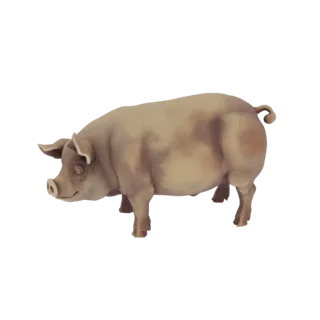 Realistic Pig 3D Model