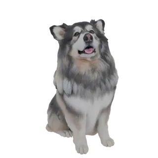 Un modelo 3D de un majestuoso perro Malamute de Alaska sentado atentamente, con la boca ligeramente abierta y la lengua visib
