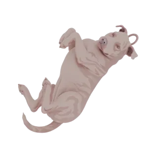Playful Pitbull Dog 3D Model