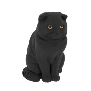 Black Scottish Fold Cat 3D Model