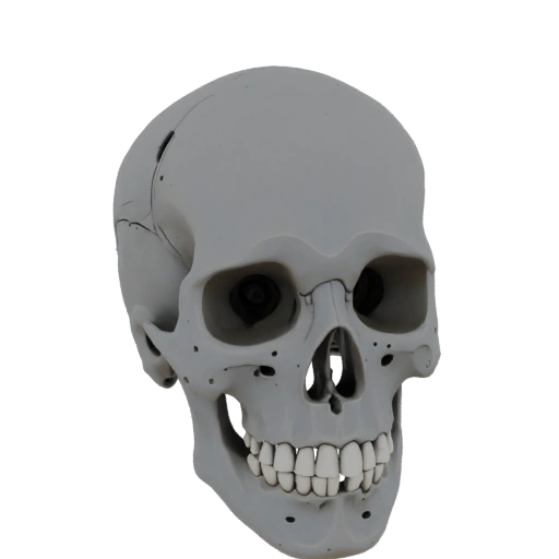 3D Robot Skull Model