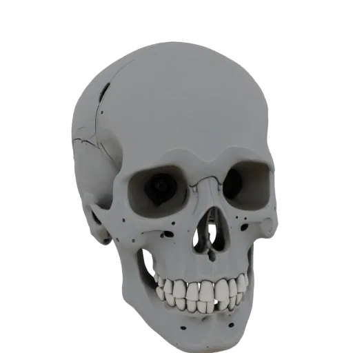 3D-Modell eines grauen Android-Roboter-Schädels mit Augen- und Mundöffnungen, auf schwarzem Hintergrund