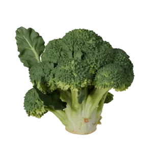 Chopped Broccoli Head 3D Cinematic Asset for Studio