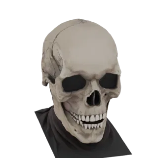 A 3D render of a realistic skull mask with dark eye sockets and a grimacing expression, draped in a dark cowl.