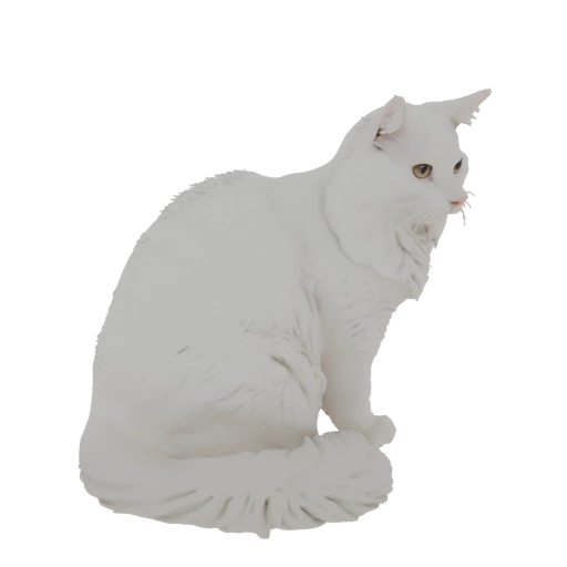 Gato Branco Sentado Modelo 3D