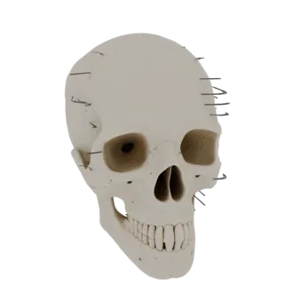 Skull Hand Bones 3D Asset for Print Hobby Builders