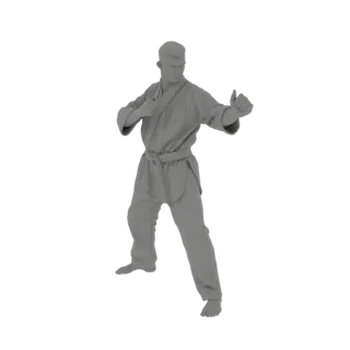 3D model of a male karateka in a defensive fighting stance, wearing a traditional gi.